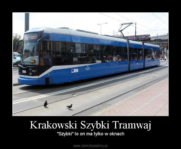 Krakowski Szybki Tramwaj – "Szybki" to on ma tylko w oknach 
