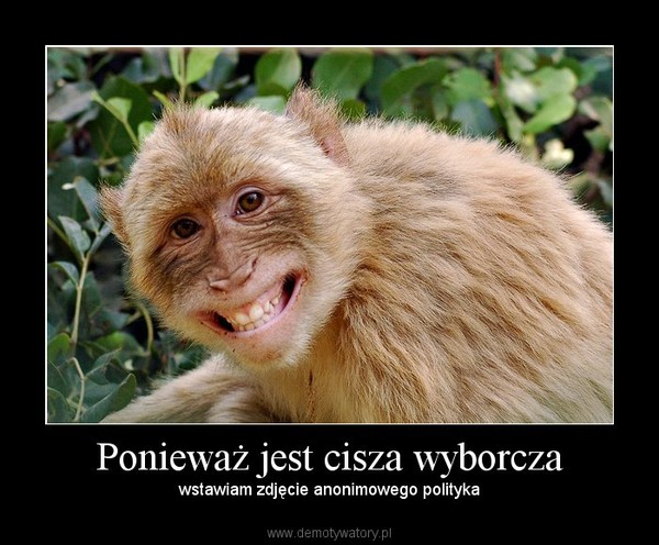Ponieważ jest cisza wyborcza – wstawiam zdjęcie anonimowego polityka 