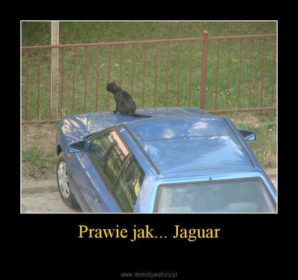 Prawie jak... Jaguar –  