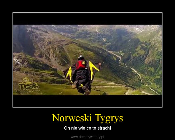 Norweski Tygrys – On nie wie co to strach! 