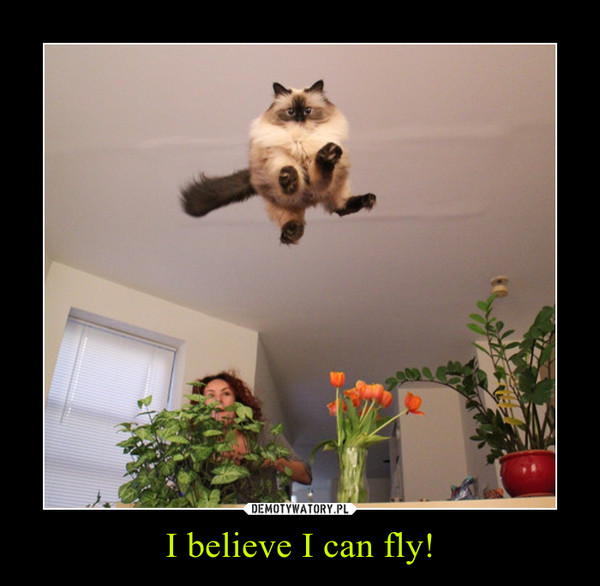 I believe I can fly!