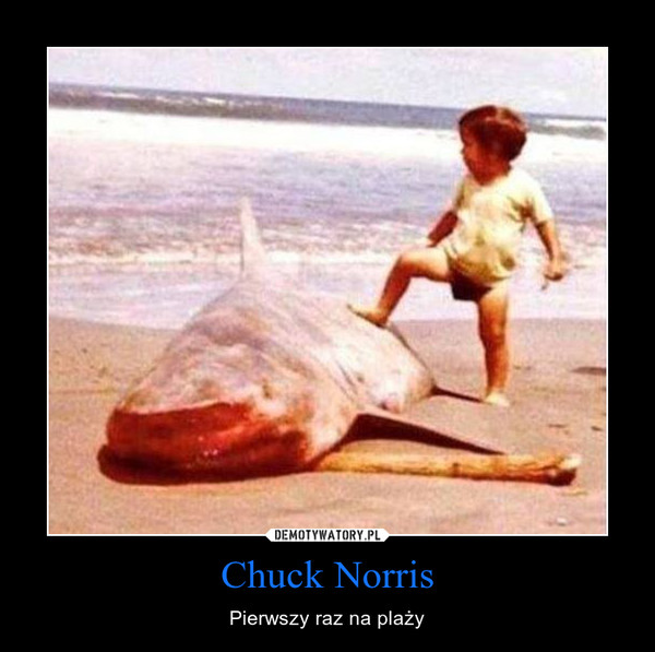 Chuck Norris – Pierwszy raz na plaży 