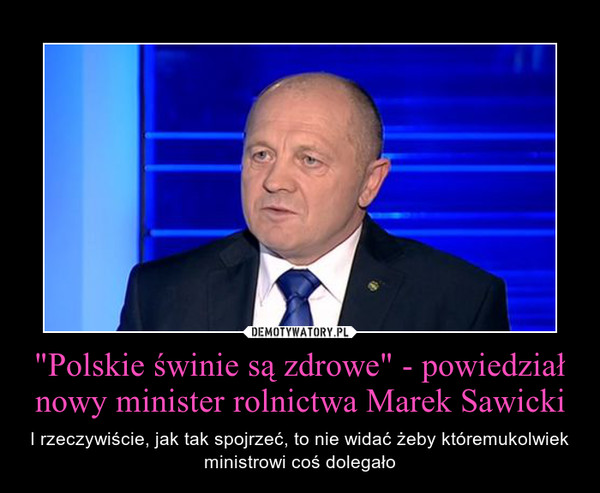 "Polskie świnie są zdrowe" - powiedział nowy minister rolnictwa Marek Sawicki – I rzeczywiście, jak tak spojrzeć, to nie widać żeby któremukolwiek ministrowi coś dolegało 