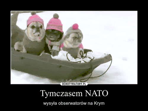 Tymczasem NATO – wysyła obserwatorów na Krym 