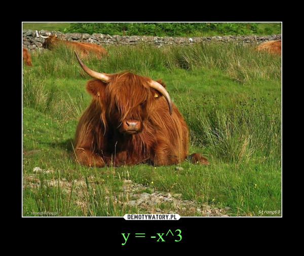 y = -x^3 –  