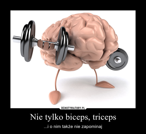 Nie tylko biceps, triceps – ...i o nim także nie zapominaj 