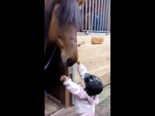 Dziewczynka nie chciała wyjść bez pożegnania z koniem –  