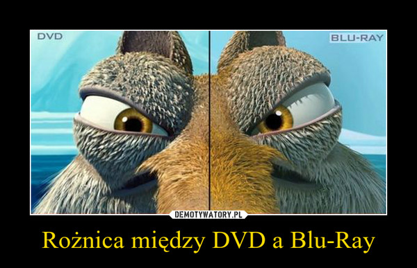 Rożnica między DVD a Blu-Ray