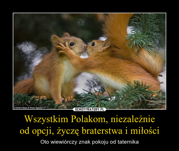 Wszystkim Polakom, niezależnieod opcji, życzę braterstwa i miłości – Oto wiewiórczy znak pokoju od taternika 