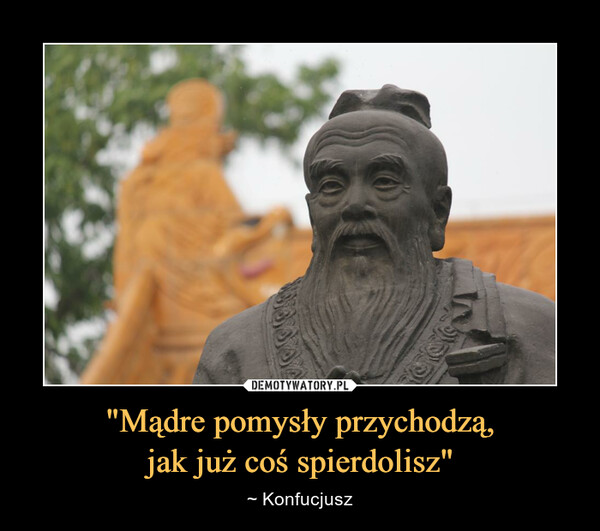 "Mądre pomysły przychodzą,jak już coś spierdolisz" – ~ Konfucjusz 