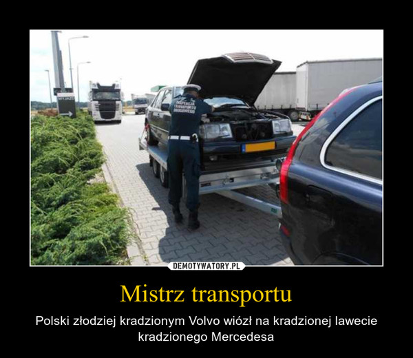 Mistrz transportu – Polski złodziej kradzionym Volvo wiózł na kradzionej lawecie kradzionego Mercedesa 