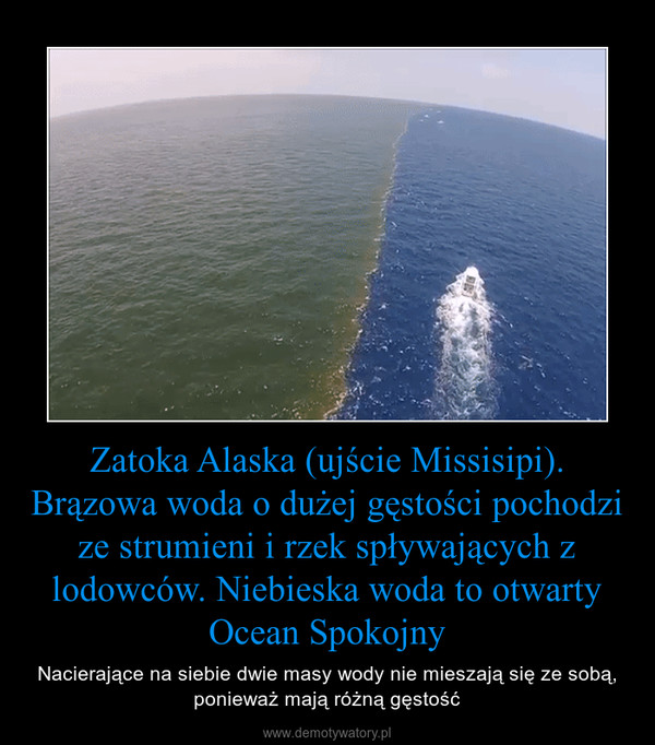 Zatoka Alaska (ujście Missisipi). Brązowa woda o dużej gęstości pochodzi ze strumieni i rzek spływających z lodowców. Niebieska woda to otwarty Ocean Spokojny – Nacierające na siebie dwie masy wody nie mieszają się ze sobą, ponieważ mają różną gęstość 