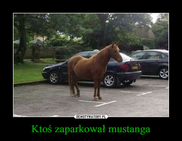 Ktoś zaparkował mustanga –  