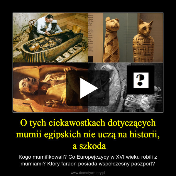 O tych ciekawostkach dotyczących mumii egipskich nie uczą na historii, a szkoda – Kogo mumifikowali? Co Europejczycy w XVI wieku robili z mumiami? Który faraon posiada współczesny paszport? 
