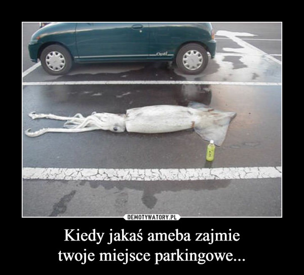Kiedy jakaś ameba zajmietwoje miejsce parkingowe... –  