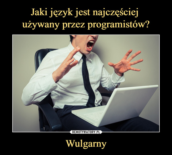Wulgarny –  