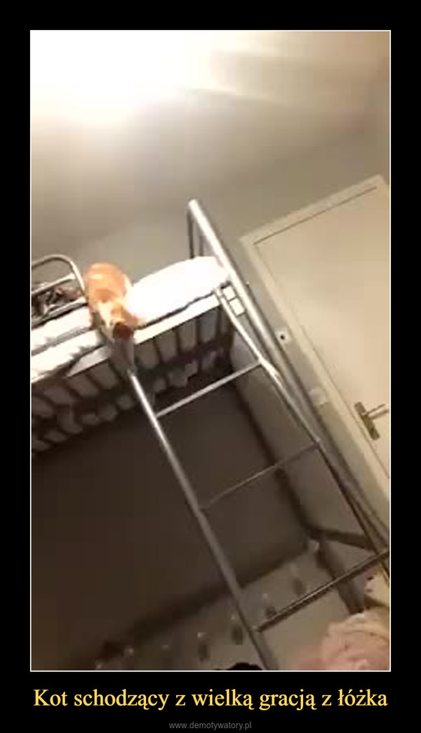 Kot schodzący z wielką gracją z łóżka –  
