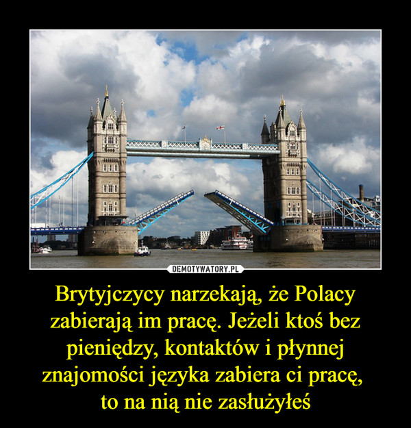 Brytyjczycy narzekają, że Polacy zabierają im pracę. Jeżeli ktoś bez pieniędzy, kontaktów i płynnej znajomości języka zabiera ci pracę, to na nią nie zasłużyłeś –  