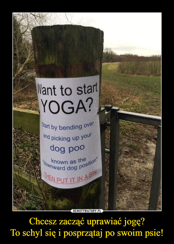 Chcesz zacząć uprawiać jogę?To schyl się i posprzątaj po swoim psie! –  Want to start Yoga? Start by bending over and picking your dog poop.