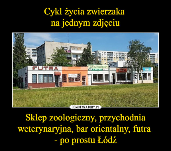 Cykl życia zwierzaka 
na jednym zdjęciu Sklep zoologiczny, przychodnia weterynaryjna, bar orientalny, futra 
- po prostu Łódź