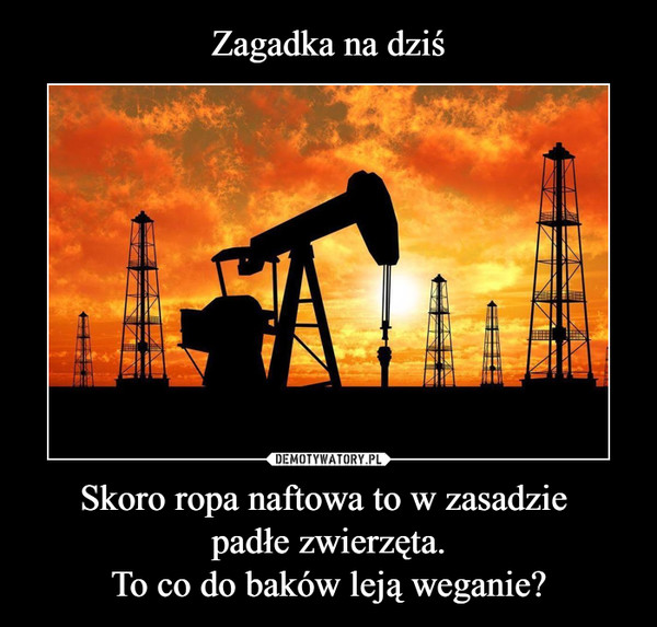 Skoro ropa naftowa to w zasadzie padłe zwierzęta.To co do baków leją weganie? –  