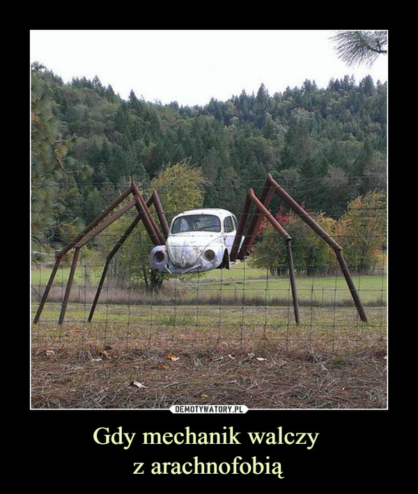 Gdy mechanik walczy z arachnofobią –  