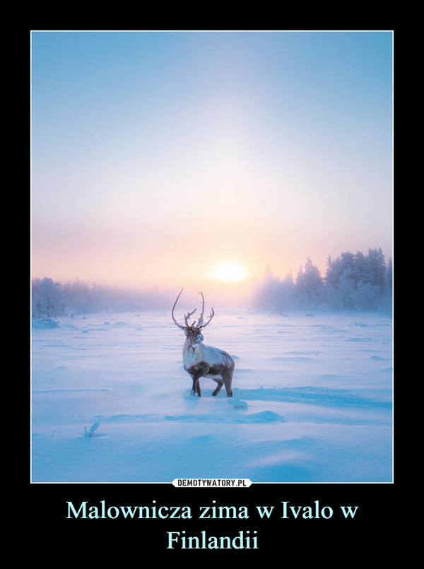 Malownicza zima w Ivalo w Finlandii –  