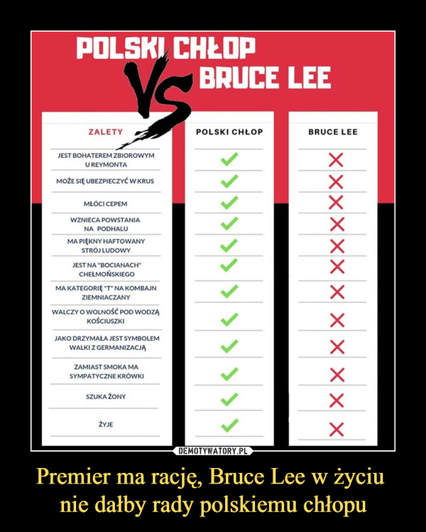 Premier ma rację, Bruce Lee w życiu 
nie dałby rady polskiemu chłopu