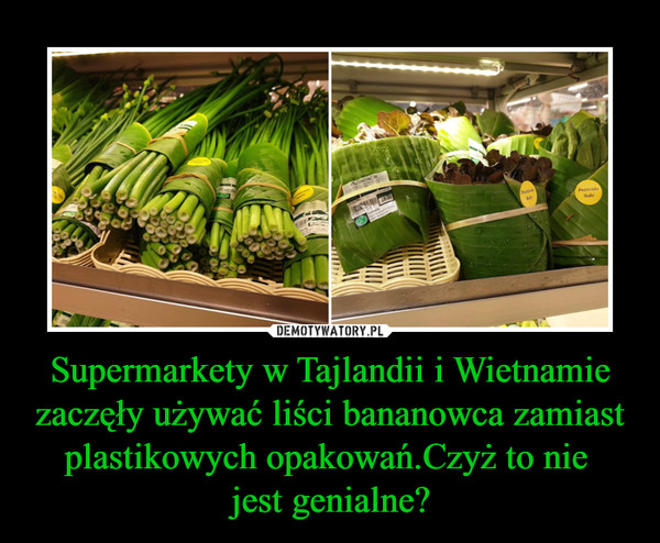 Supermarkety w Tajlandii i Wietnamie zaczęły używać liści bananowca zamiast plastikowych opakowań.Czyż to nie 
jest genialne?