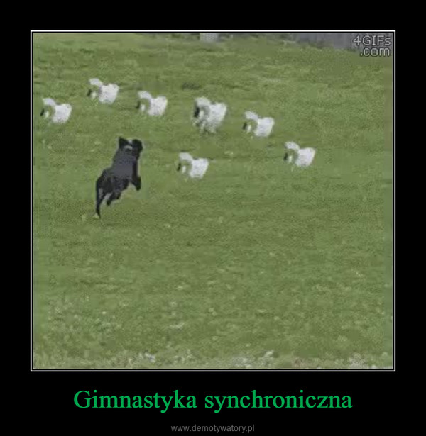 Gimnastyka synchroniczna –  