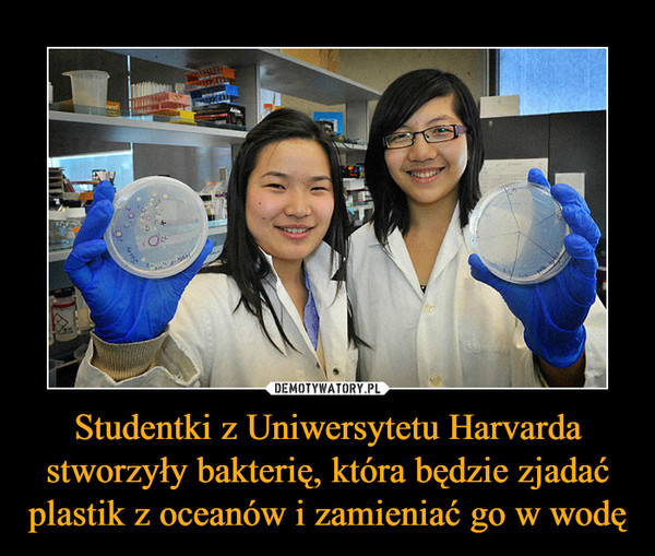 Studentki z Uniwersytetu Harvarda stworzyły bakterię, która będzie zjadać plastik z oceanów i zamieniać go w wodę –  