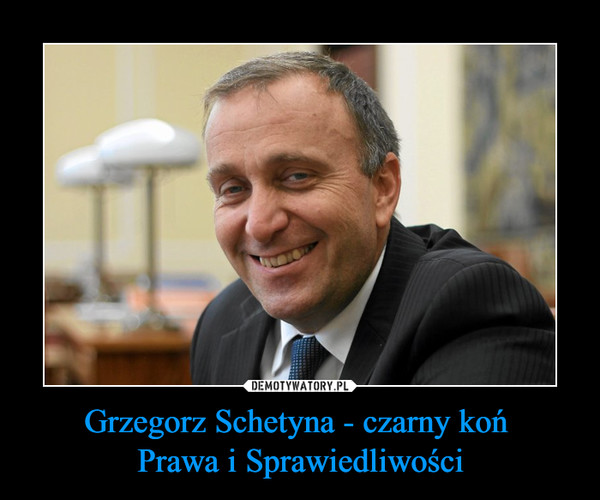 Grzegorz Schetyna - czarny koń Prawa i Sprawiedliwości –  