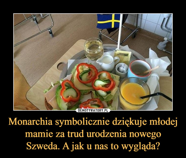 Monarchia symbolicznie dziękuje młodej mamie za trud urodzenia nowego Szweda. A jak u nas to wygląda? –  