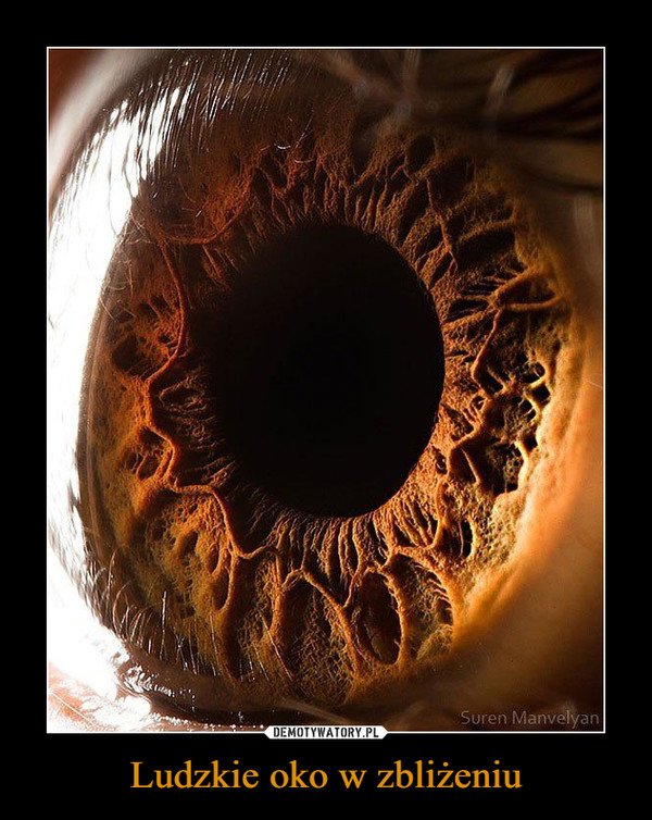Ludzkie oko w zbliżeniu –  