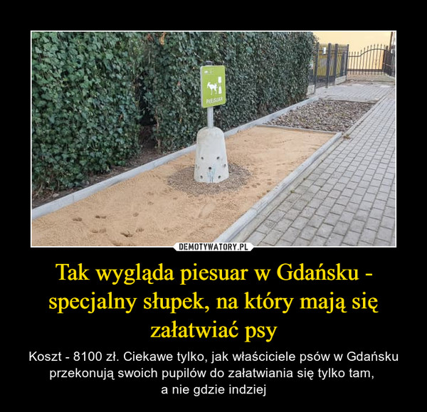 Tak wygląda piesuar w Gdańsku - specjalny słupek, na który mają się załatwiać psy – Koszt - 8100 zł. Ciekawe tylko, jak właściciele psów w Gdańsku przekonują swoich pupilów do załatwiania się tylko tam, a nie gdzie indziej 