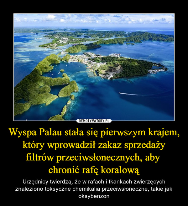 Wyspa Palau stała się pierwszym krajem, który wprowadził zakaz sprzedaży filtrów przeciwsłonecznych, aby 
chronić rafę koralową
