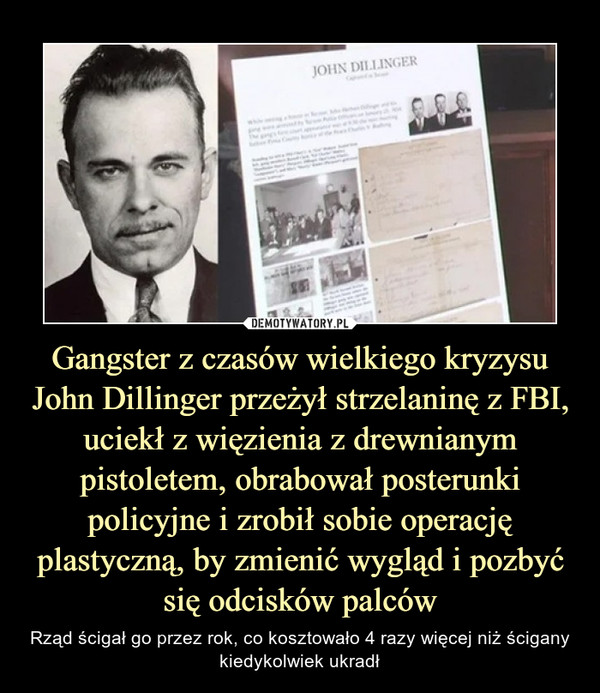 Gangster z czasów wielkiego kryzysu John Dillinger przeżył strzelaninę z FBI, uciekł z więzienia z drewnianym pistoletem, obrabował posterunki policyjne i zrobił sobie operację plastyczną, by zmienić wygląd i pozbyć się odcisków palców