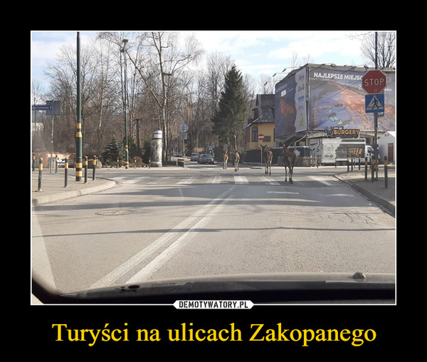 Turyści na ulicach Zakopanego –  