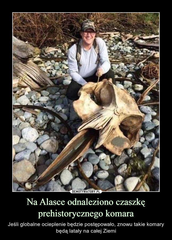 Na Alasce odnaleziono czaszkę prehistorycznego komara