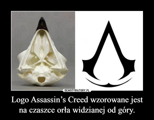 Logo Assassin’s Creed wzorowane jest na czaszce orła widzianej od góry.