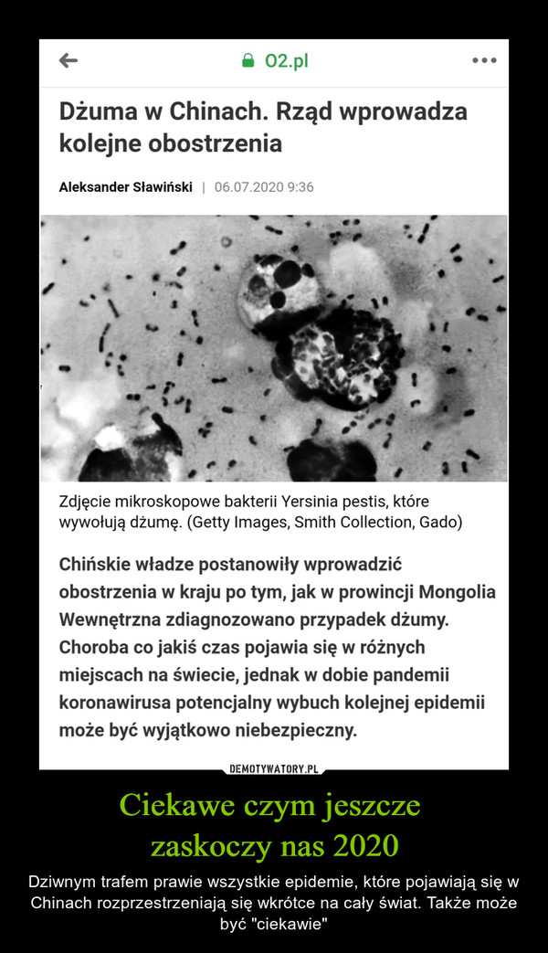 Ciekawe czym jeszcze zaskoczy nas 2020 – Dziwnym trafem prawie wszystkie epidemie, które pojawiają się w Chinach rozprzestrzeniają się wkrótce na cały świat. Także może być "ciekawie" Dżuma w Chinach. Rząd wprowadza kolejne obostrzenia Aleksander Sławiński i 06.07.2020 9:36 • • • Zdjęcie mikroskopowe bakterii Yersinia pestis, które wywołują dżumę. (Getty Images, Smith Collection, Gado) Chińskie władze postanowiły wprowadzić obostrzenia w kraju po tym, jak w prowincji Mongolia Wewnętrzna zdiagnozowano przypadek dżumy. Choroba co jakiś czas pojawia się w różnych miejscach na świecie, jednak w dobie pandemii koronawirusa potencjalny wybuch kolejnej epidemii może być wyjątkowo niebezpieczny.
