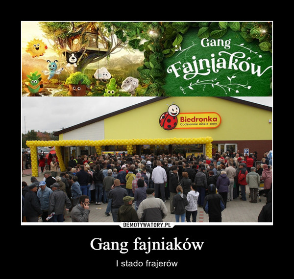 Gang fajniaków – I stado frajerów 