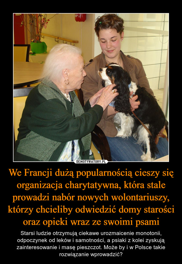 We Francji dużą popularnością cieszy się organizacja charytatywna, która stale prowadzi nabór nowych wolontariuszy, którzy chcieliby odwiedzić domy starości oraz opieki wraz ze swoimi psami
