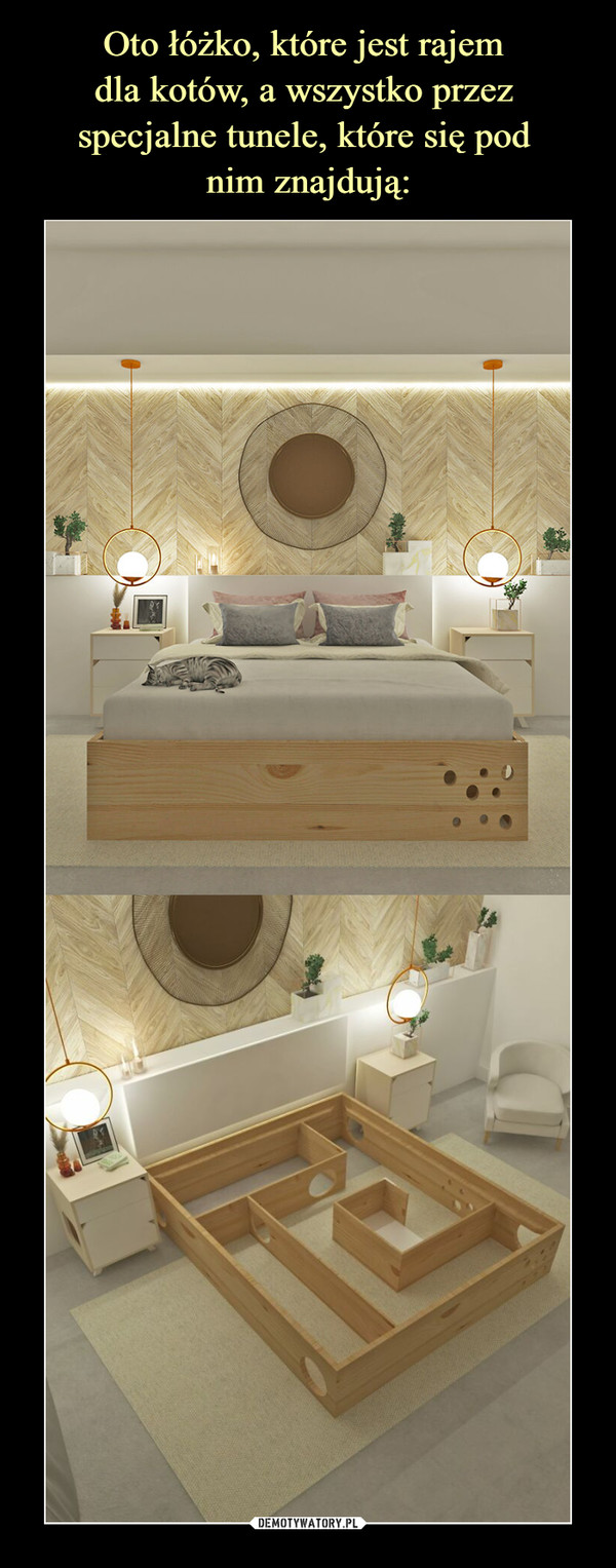 Oto łóżko, które jest rajem 
dla kotów, a wszystko przez 
specjalne tunele, które się pod 
nim znajdują: