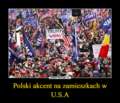 Polski akcent na zamieszkach w U.S.A