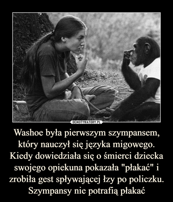 Washoe była pierwszym szympansem, który nauczył się języka migowego. Kiedy dowiedziała się o śmierci dziecka swojego opiekuna pokazała "płakać" i zrobiła gest spływającej łzy po policzku. Szympansy nie potrafią płakać –  
