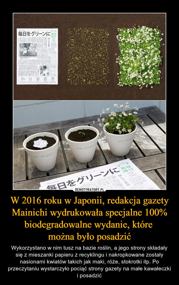 W 2016 roku w Japonii, redakcja gazety Mainichi wydrukowała specjalne 100% biodegradowalne wydanie, które można było posadzić – Wykorzystano w nim tusz na bazie roślin, a jego strony składały się z mieszanki papieru z recyklingu i nakropkowane zostały nasionami kwiatów takich jak maki, róże, stokrotki itp. Po przeczytaniu wystarczyło pociąć strony gazety na małe kawałeczki i posadzić 