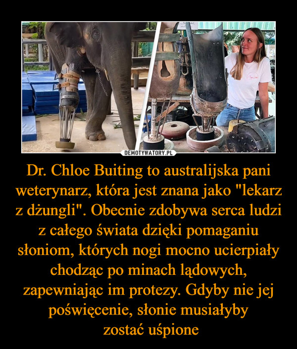 Dr. Chloe Buiting to australijska pani weterynarz, która jest znana jako "lekarz z dżungli". Obecnie zdobywa serca ludzi z całego świata dzięki pomaganiu słoniom, których nogi mocno ucierpiały chodząc po minach lądowych, zapewniając im protezy. Gdyby nie jej poświęcenie, słonie musiałyby
 zostać uśpione