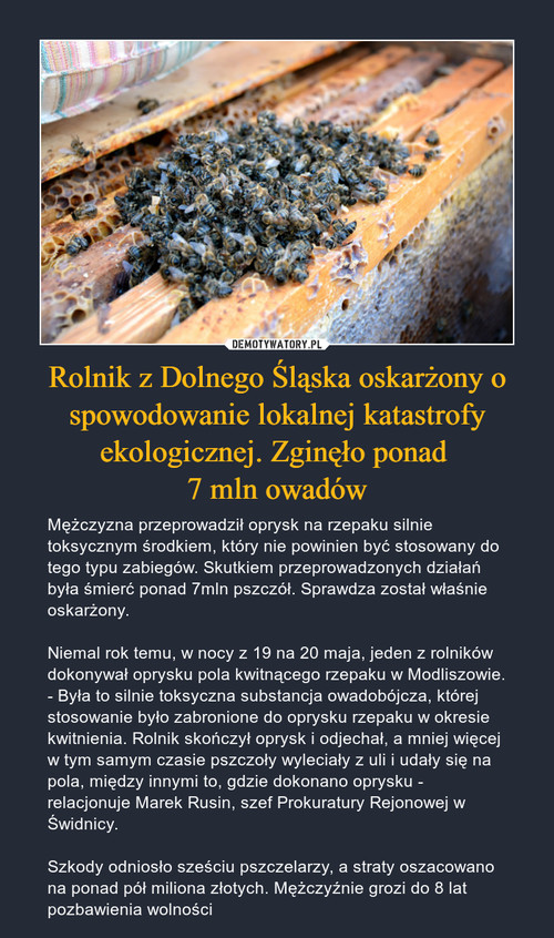 Rolnik z Dolnego Śląska oskarżony o spowodowanie lokalnej katastrofy ekologicznej. Zginęło ponad 
7 mln owadów