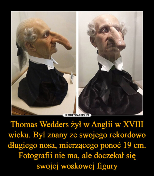 Thomas Wedders żył w Anglii w XVIII wieku. Był znany ze swojego rekordowo długiego nosa, mierzącego ponoć 19 cm. Fotografii nie ma, ale doczekał się swojej woskowej figury